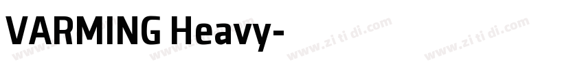 VARMING Heavy字体转换